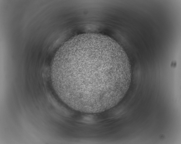 X0000113620079200910091541