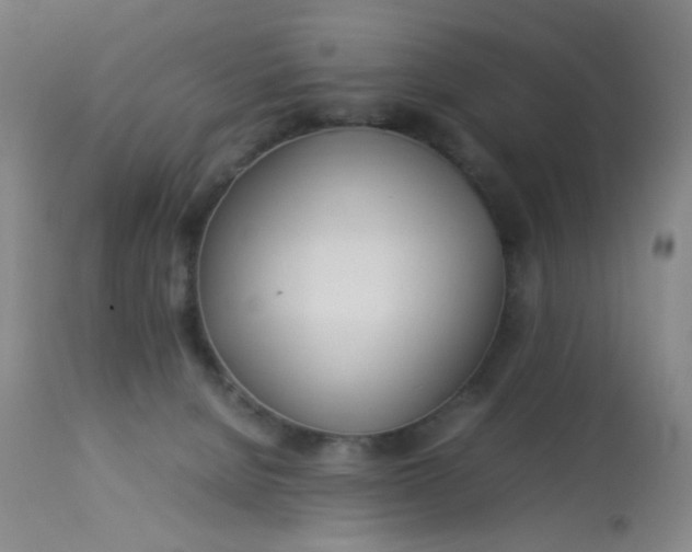 X0000113620080200910091542