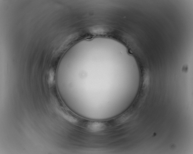 X0000113620081200910091542