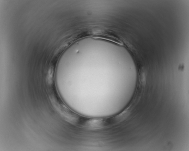 X0000113620082200910091542