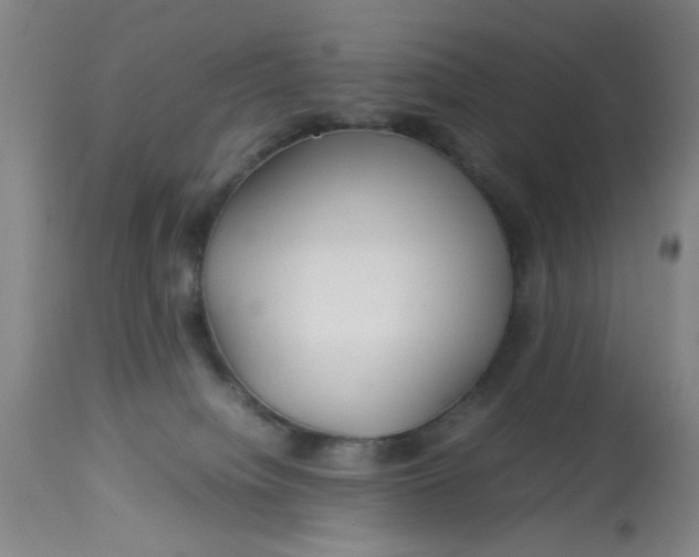 X0000113620084200910091542