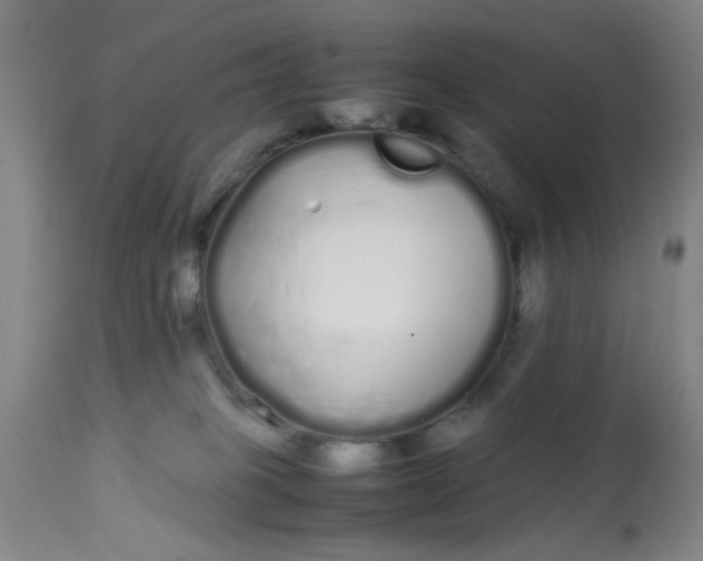 X0000113620085200910091542