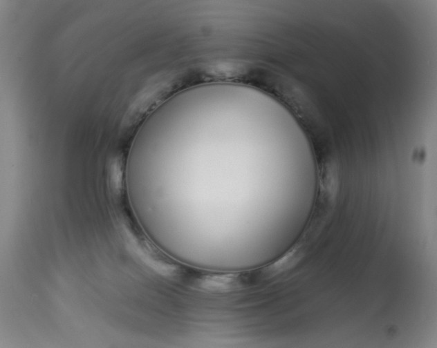 X0000113620086200910091542
