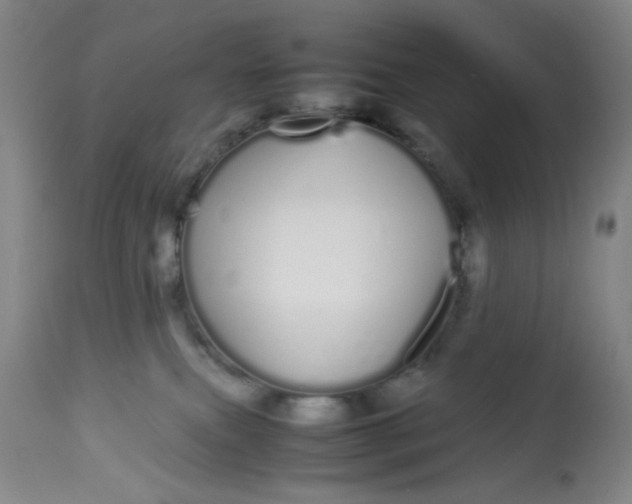 X0000113620087200910091542