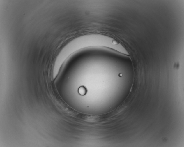 X0000113620088200910091542
