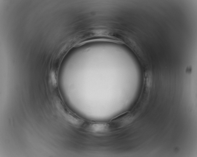X0000113620089200910091542