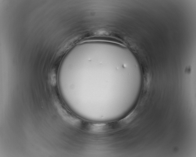 X0000113620090200910091542