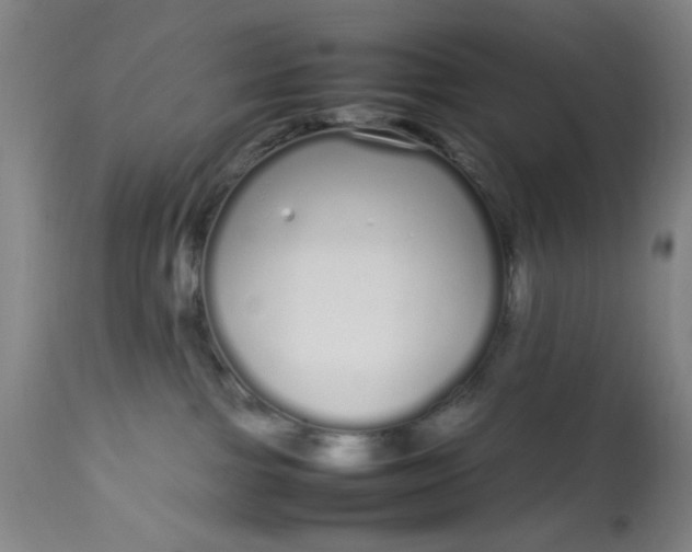 X0000113620091200910091542