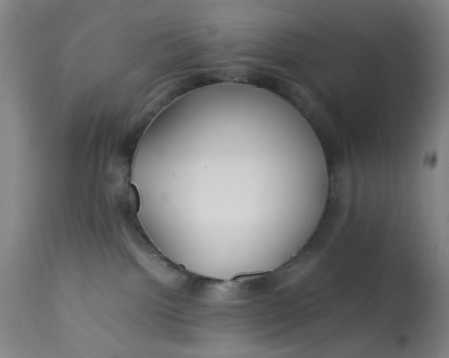 X0000113620092200910091542