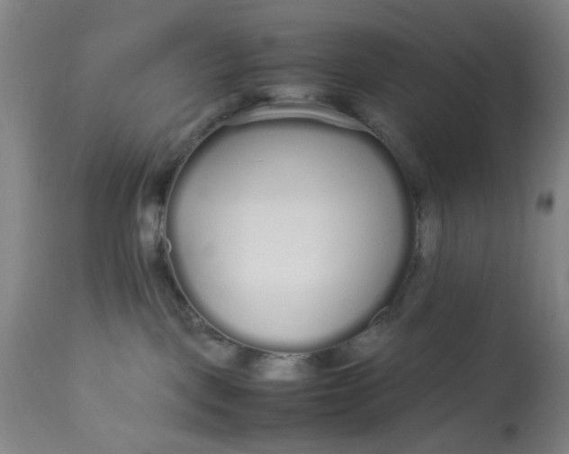 X0000113620093200910091542