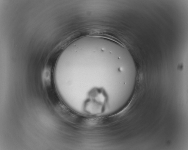 X0000113620094200910091542