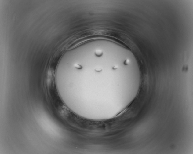 X0000113620095200910091542