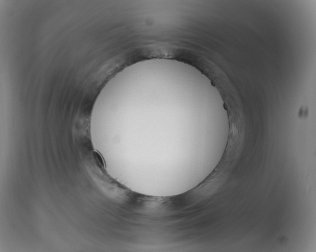X0000113620096200910091542