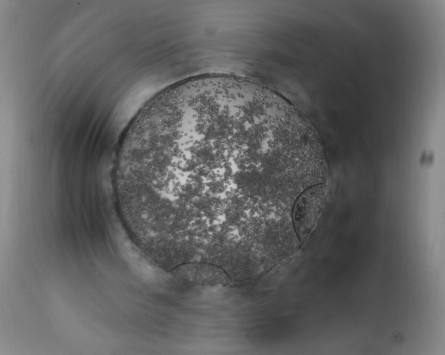 X0000113620098200910091541