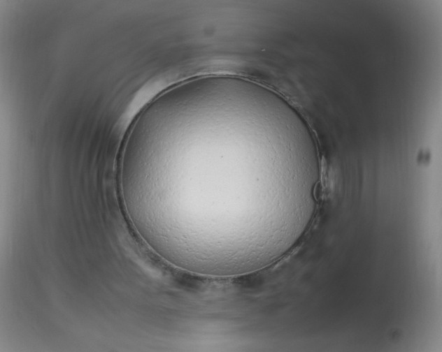 X0000113620099200910091541