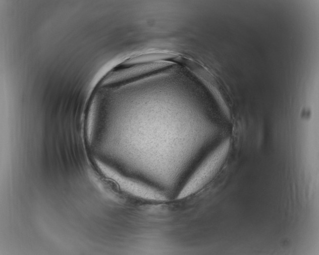 X0000113620100200910091541