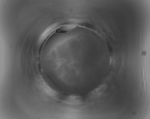 X0000113620101200910091541