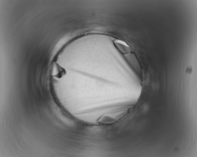 X0000113620102200910091541