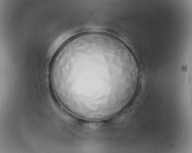 X0000113620103200910091541