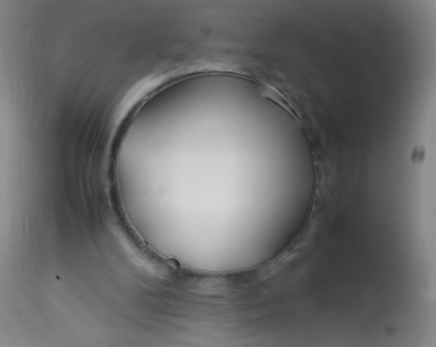 X0000113620104200910091541