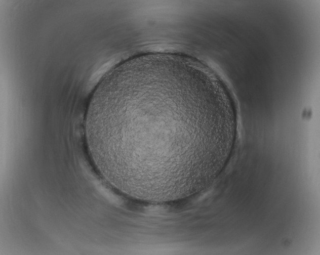 X0000113620105200910091541