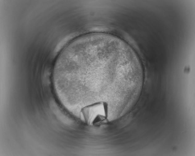 X0000113620106200910091541