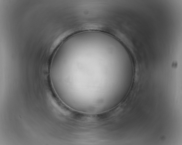 X0000113620107200910091541