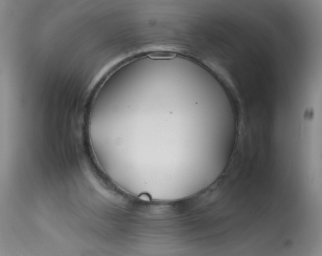 X0000113620108200910091541