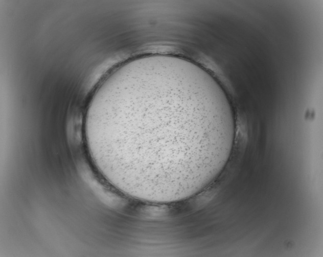 X0000113620110200910091541