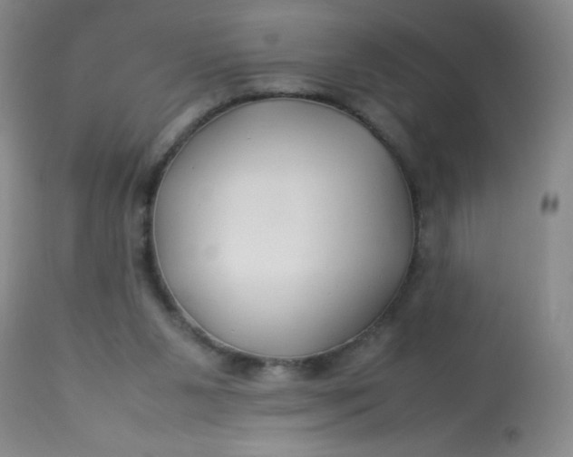 X0000113620111200910091541