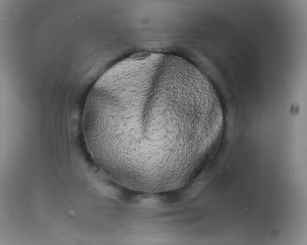 X0000113620113200910091541