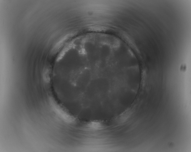 X0000113620114200910091540