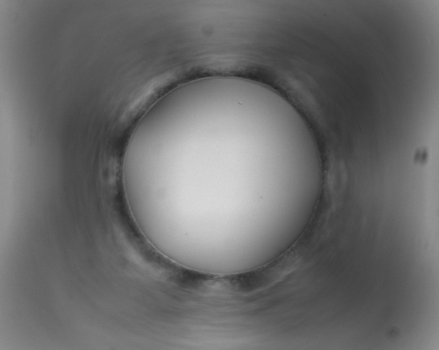 X0000113620115200910091540