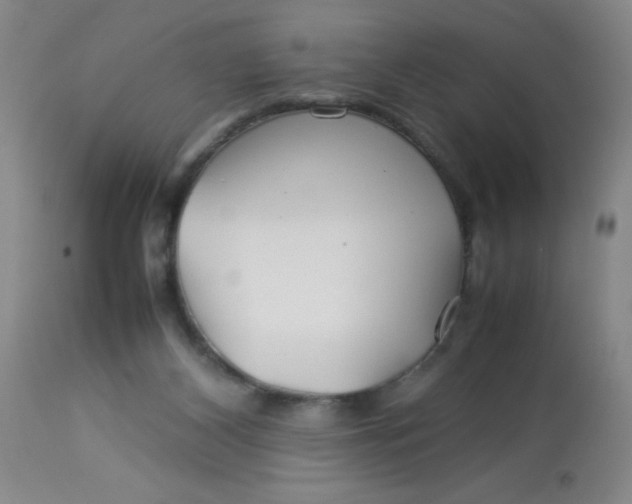 X0000113620116200910091540
