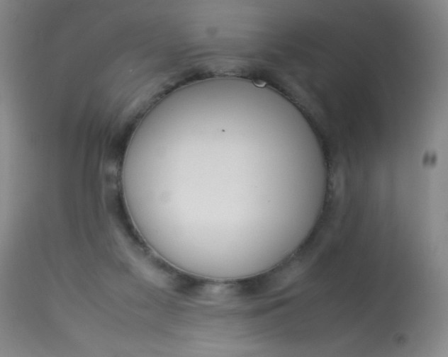 X0000113620117200910091540