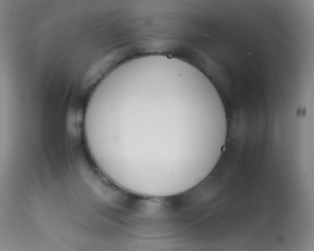 X0000113620118200910091540