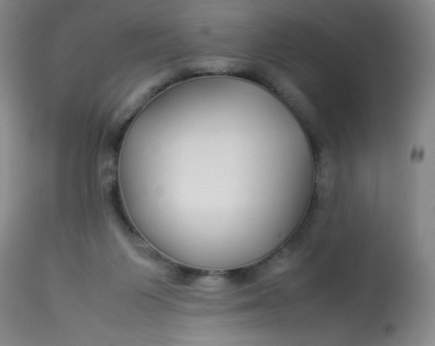X0000113620119200910091540
