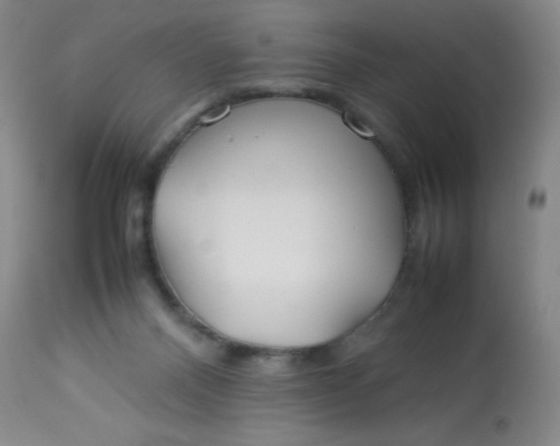 X0000113620120200910091540