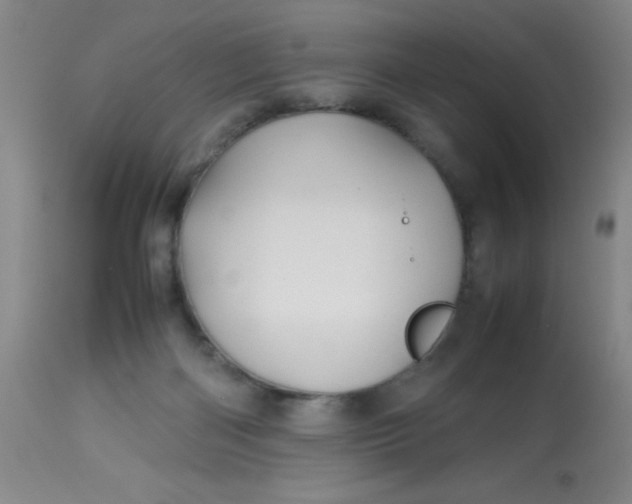 X0000113620122200910091540
