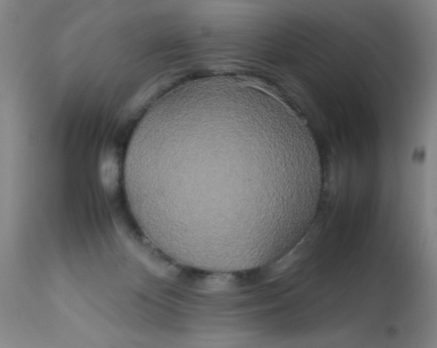X0000113620124200910091540