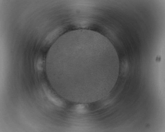 X0000113620126200910091540