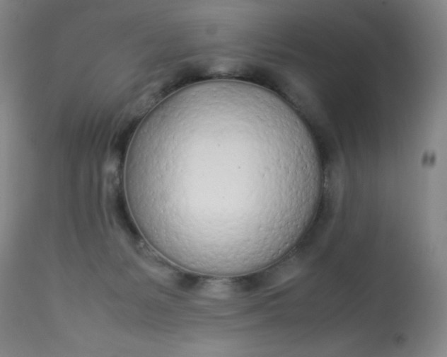 X0000113620127200910091540