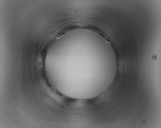 X0000113620128200910091540