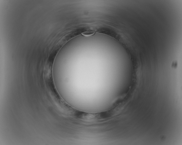 X0000113620129200910091540