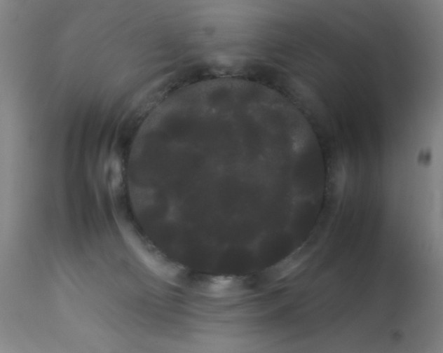 X0000113620130200910091540