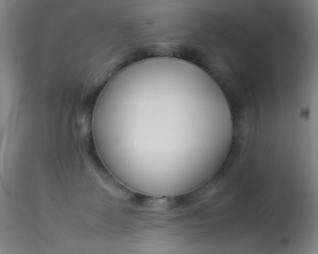 X0000113620131200910091540