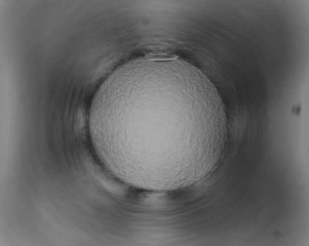 X0000113620132200910091540