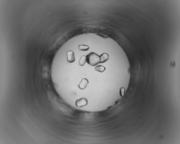 X0000113620134200910091540