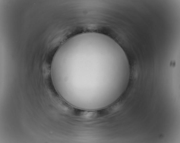 X0000113620135200910091540