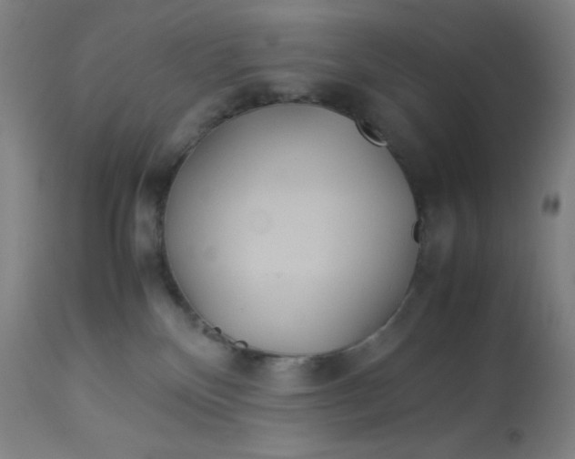 X0000113620136200910091540